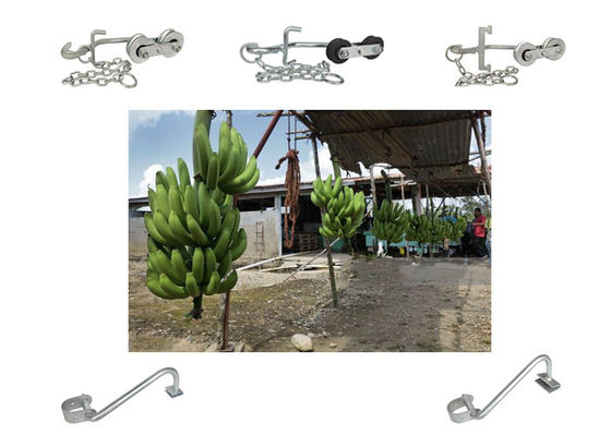 150kg-220KG आसान परिवहन उपकरण के लिए केले के हुक हैंगिंग रोलर्स